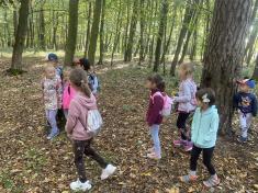 Děti poznávají les