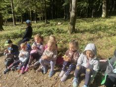 Děti poznávají les